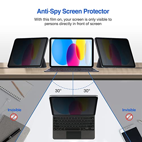iPad (A16) 11th 2025/10th Privacy Screen Protector