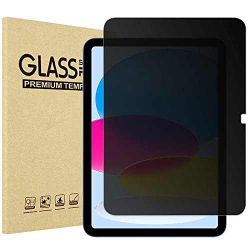 iPad (A16) 11th 2025/10th Privacy Screen Protector