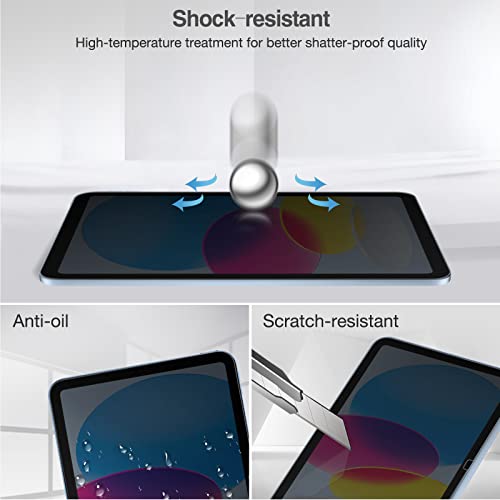 iPad (A16) 11th 2025/10th Privacy Screen Protector