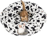 House Entertainment Tunnel Bed for Indoor Kitten Cats | Avont