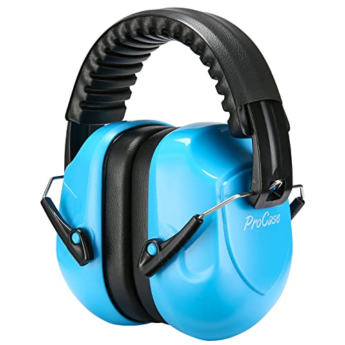 noise cancelling earmuffs