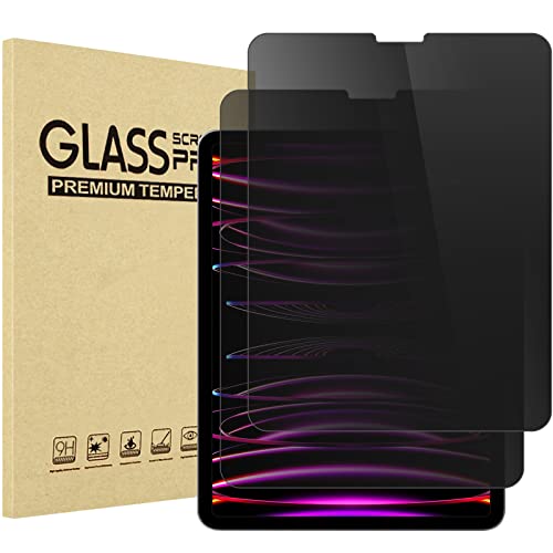 iPad Pro 12.9" 3rd / 4th / 5th / 6th Gen Privacy Screen Protector