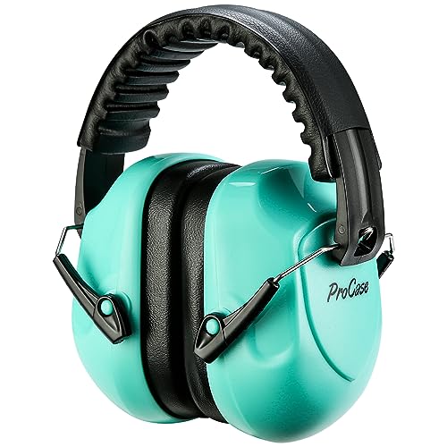 noise cancelling earmuffs