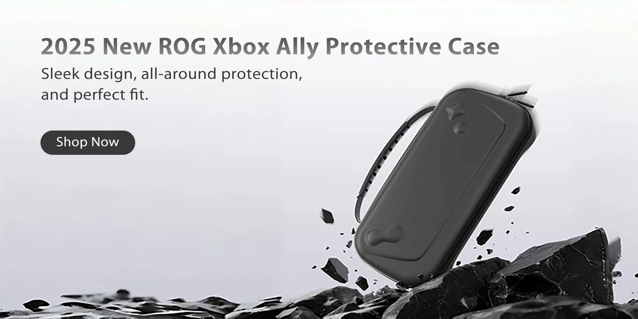 ROG Xbox Ally Carrying Case