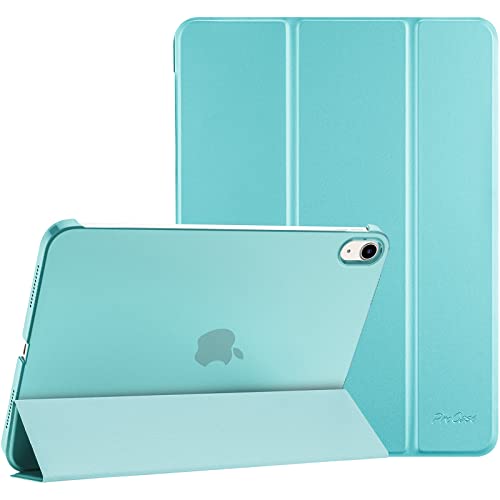 iPad (A16) 11th 2025/ 10th Hard Shell Protective Slim Case