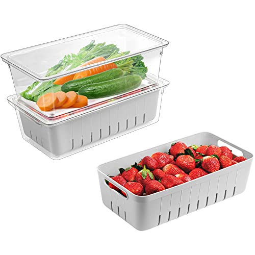 Puricon (2 Pack) Fresh Food Containers for Fridge, Fruit Storage Vegetable Keeper Produce Saver with Colander & Lid, Stackable Refrigerator