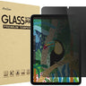 iPad Mini Screen Protector